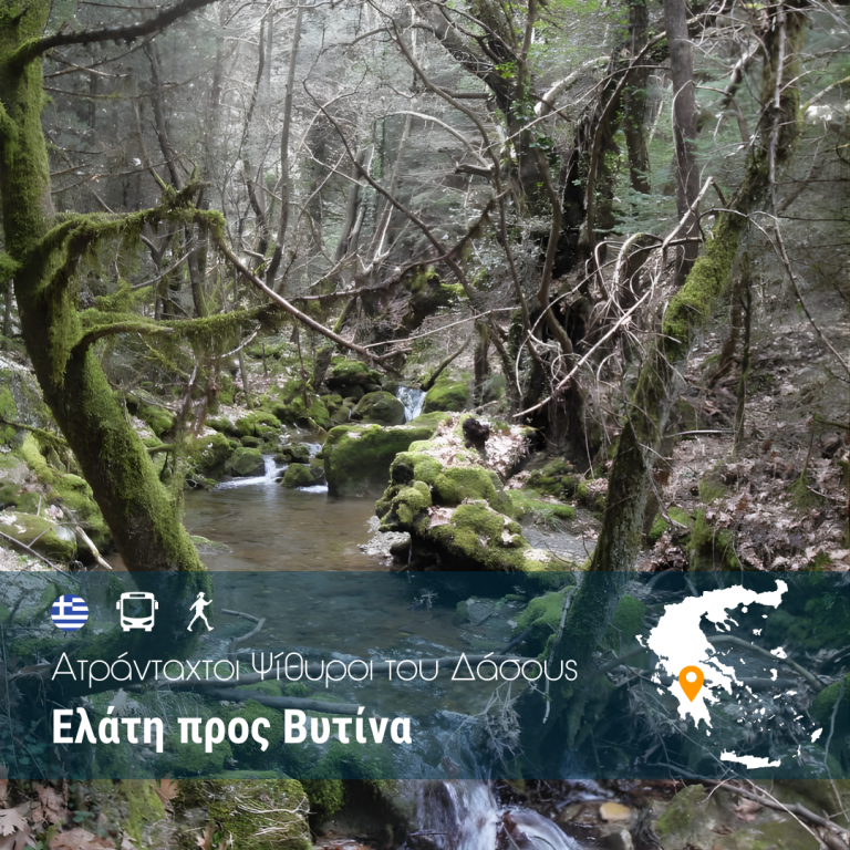 Ατράνταχτοι Ψίθυροι του Δάσους – Ελάτη προς Βυτίνα