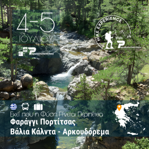 Αρκουδόρεμα 2026: Εκεί που η Φύση Γίνεται Περιπέτεια