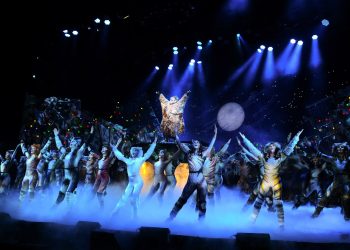 CATS - Athens - 1