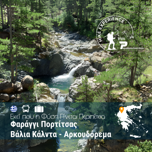 Αρκουδόρεμα 2026 Εκεί που η Φύση Γίνεται Περιπέτεια - WEB