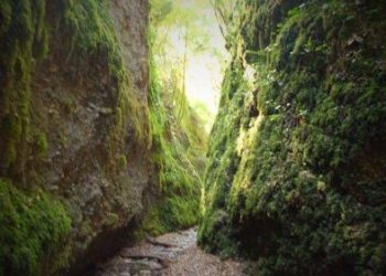 Εκεί που η Φύση Γίνεται Μύθος_ Φολόη & Φαράγγι των Κενταύρων - 4