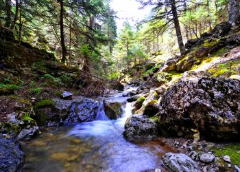 Ζήρεια Χαράδρα Φλαμπουρίτσας -1