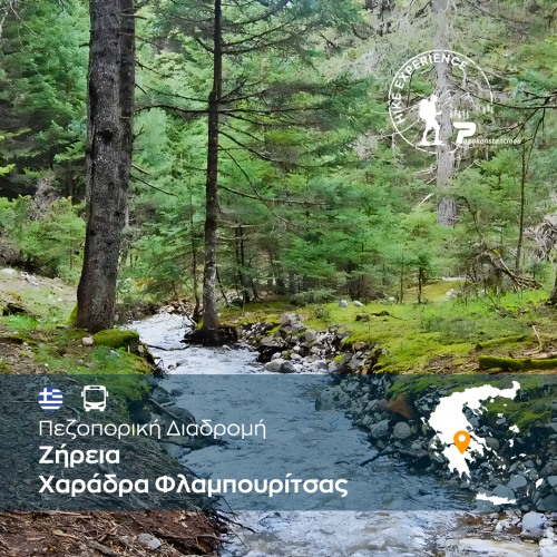 Ζήρεια Χαράδρα Φλαμπουρίτσας - WEB