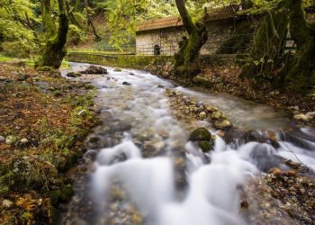 Πλανητέρο - Κορυφή Καλόγερος - Ελατόφυτο-1