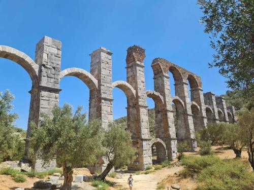 311002114 1763208870712658 3055180036736320442 n