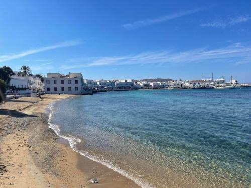 311019430 1419543355234364 433617669569910722 n