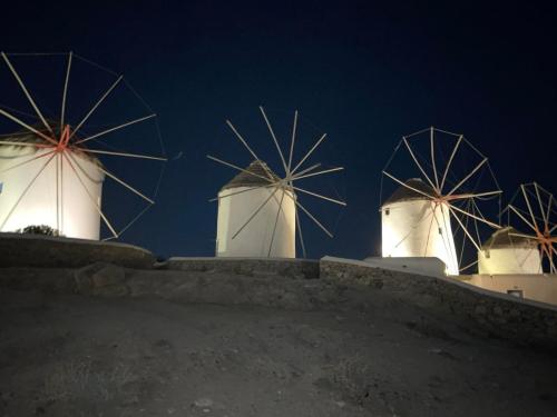 311068023 1210512316196170 5703497170713470744 n