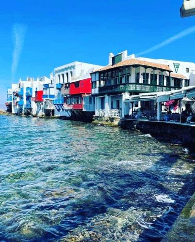 311149784 1437022376783619 7321721843539714240 n