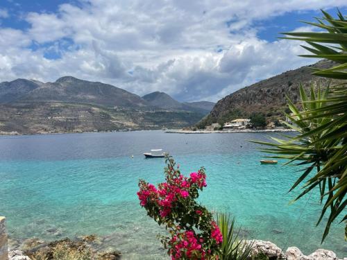 311235830 669308967891410 1328516985311191961 n