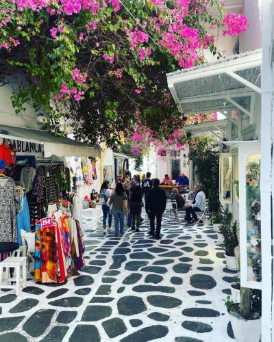 311288766 1853878515004247 4072855749311518961 n