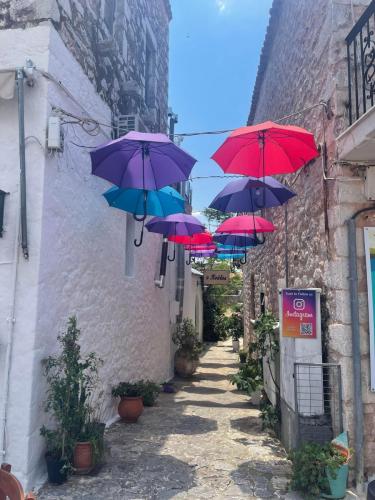 311376529 801758134480868 4443076975527460050 n